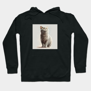 Illustration of handsome Scottish cat looking up Hoodie